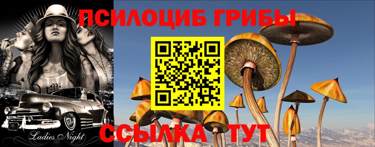 Ставрополь  Галлюциногенные грибы MAGIC MUSHROOMS  где купить   Вход с VPN 